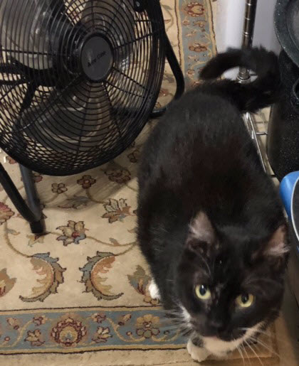 Man Versus Machine - AI Can’t Work Alone | Equidox