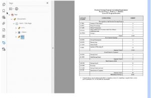 Adobe checker showing a table that visually contains all of its text contents. 