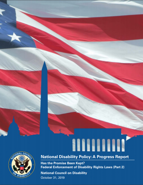 NDP Report Cover showing American Flag and buildings in silhouette