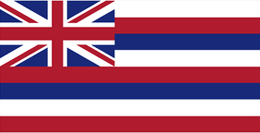 Hawaii state flag