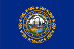 New Hampshire state flag