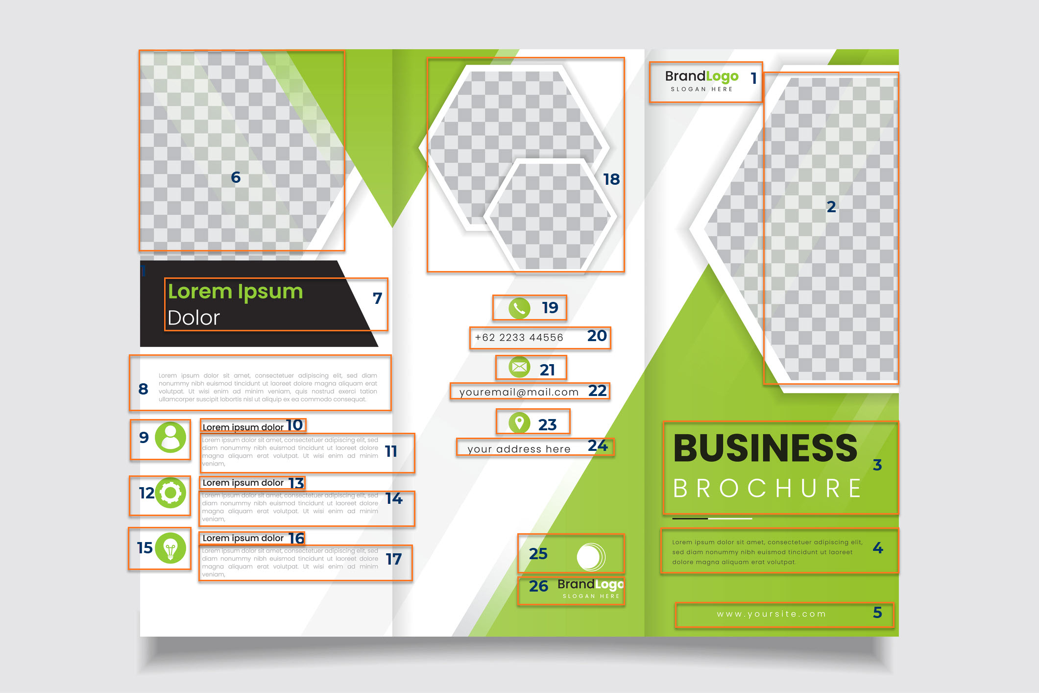 Trifold brochure with correct reading order numbered